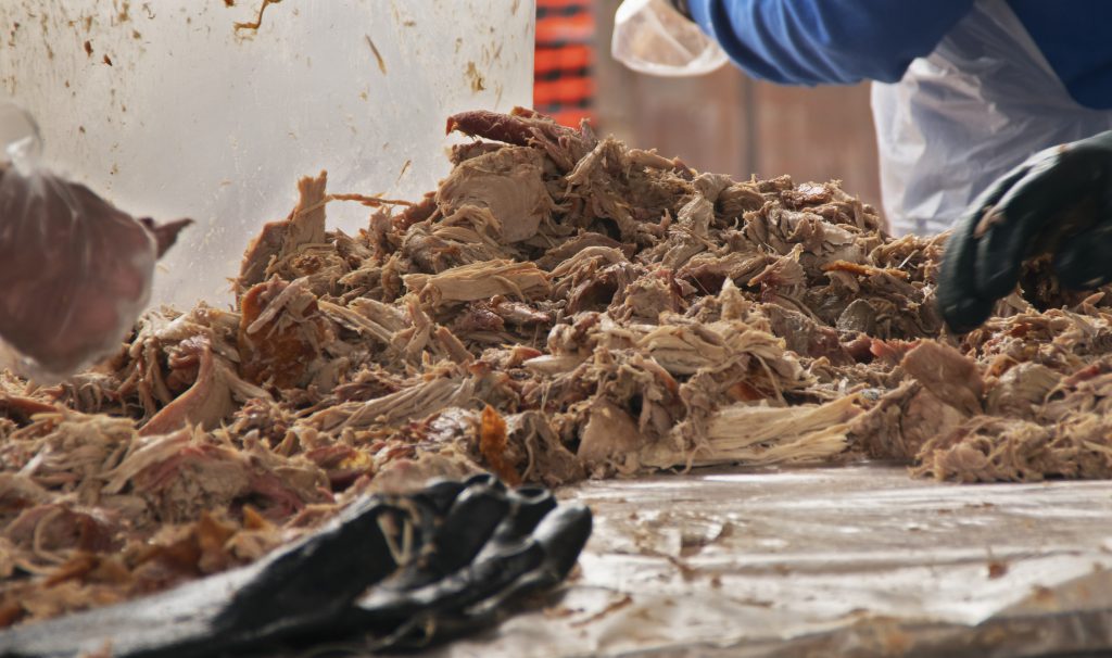 A large pile of cooked and separated cooked pork waits for shredding before being served to the public at a local BBQ competition