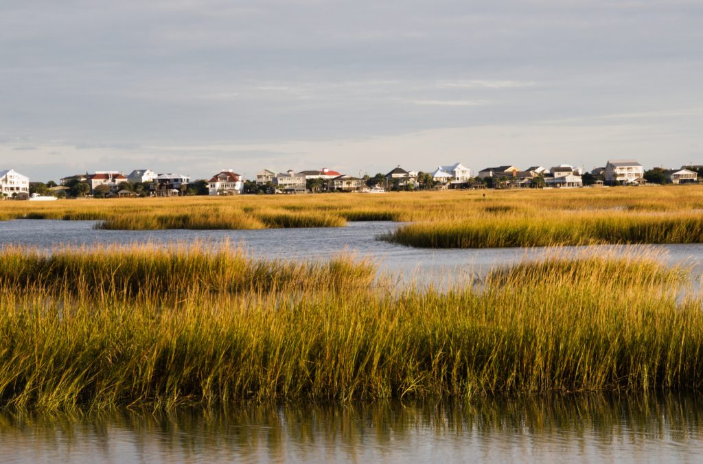 The sun is setting on a salt water marsh in Murrells Inlet South Carolina. The camera focus is on the marsh and not the houses that line the waters edge in the background.